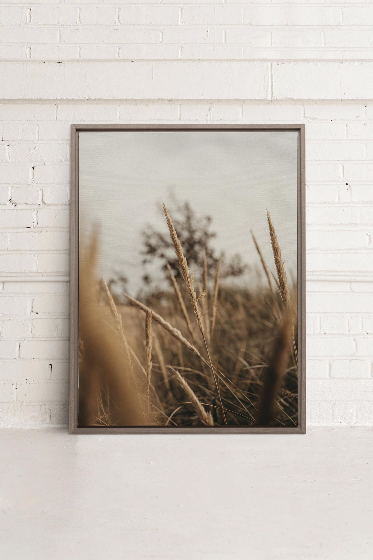WHEAT, Oeuvre sur toile étirée