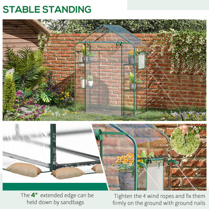 Walk-in Greenhouse with 4 Shelves, 56" x 29" x 77" Mini Greenhouse ,Roll-Up Door, Mesh Windows for Seedling, Flowers, Plant Growing, Clear