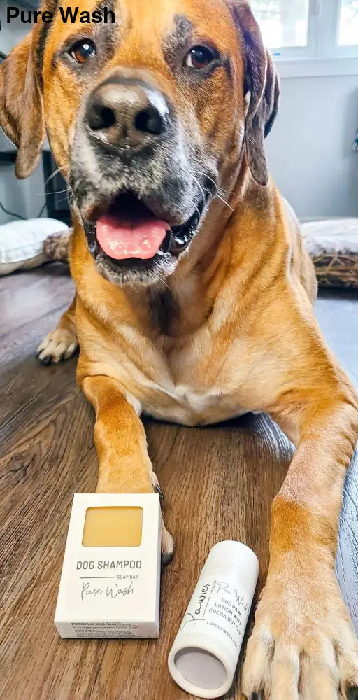Pawsies Lotion Bar