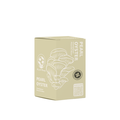 Pearl Oyster Mushroom Kit