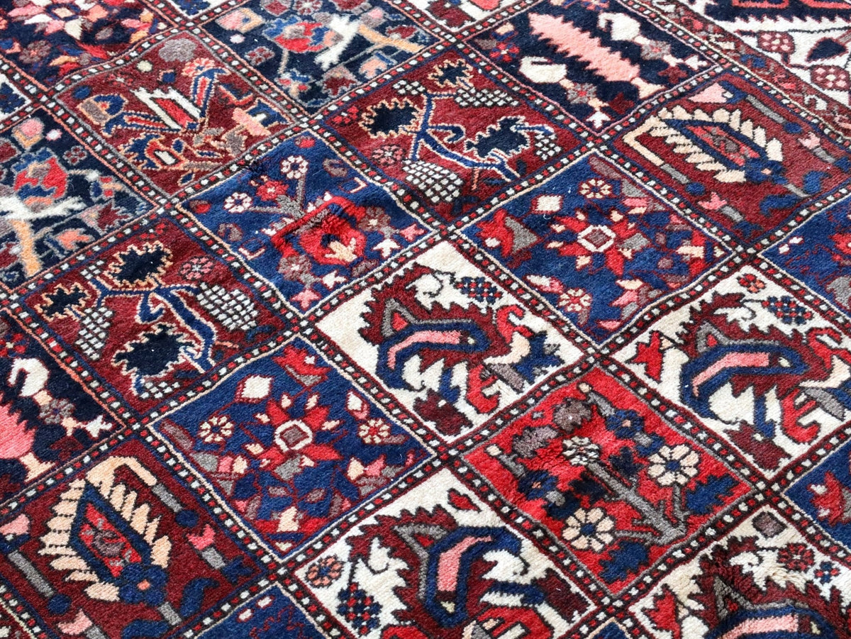 Persian Bakhtiari Rug | 5' 1" x 9' 6"