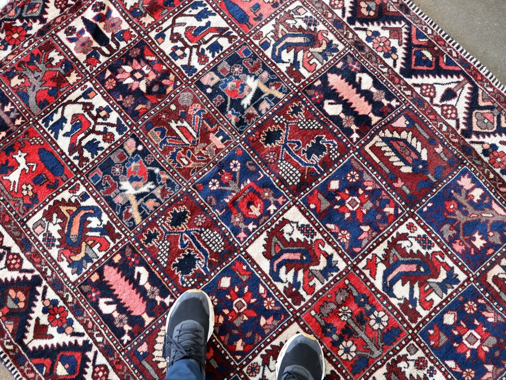 Persian Bakhtiari Rug | 5' 1" x 9' 6"
