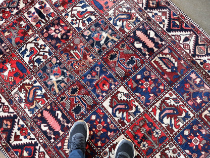 Persian Bakhtiari Rug | 5' 1" x 9' 6"
