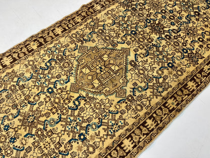 Persian Hosseinabad Runner Rug | 3' 8” x 10' 2"
