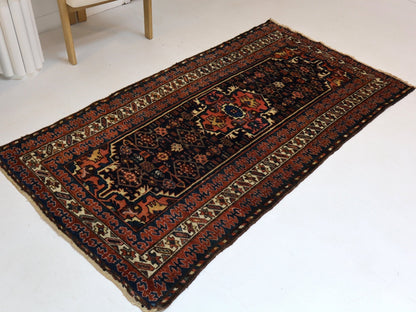 Persian Kurdi Rug | 3' 10" x 7' 2"