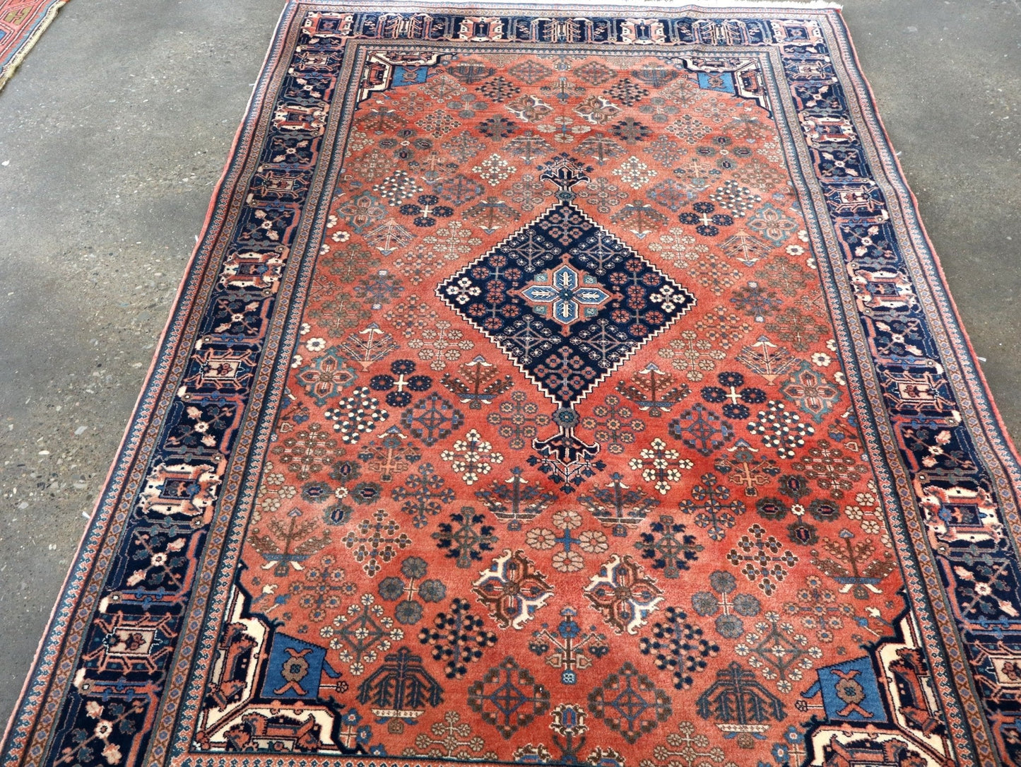 Persian Meymeh Rug | 5' 7" x 8' 6"