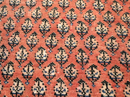 Persian Mir Rug | 3' 8” x 6' 11"