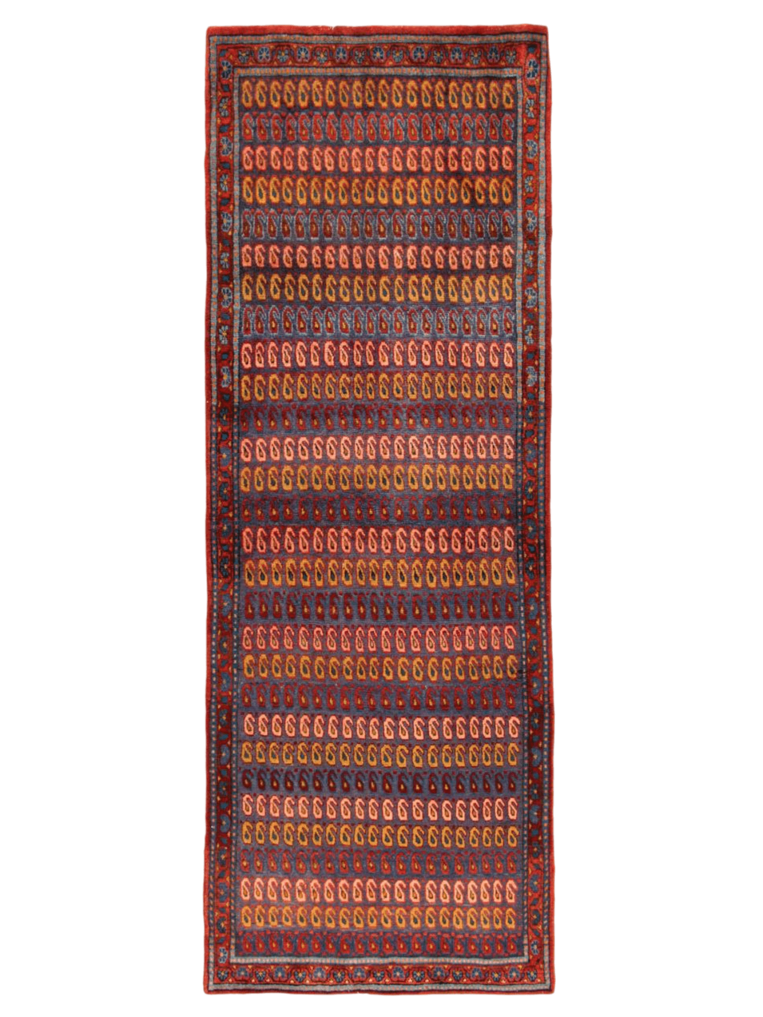 Persian Viss Runner Rug | 2' 11” x 7' 11"