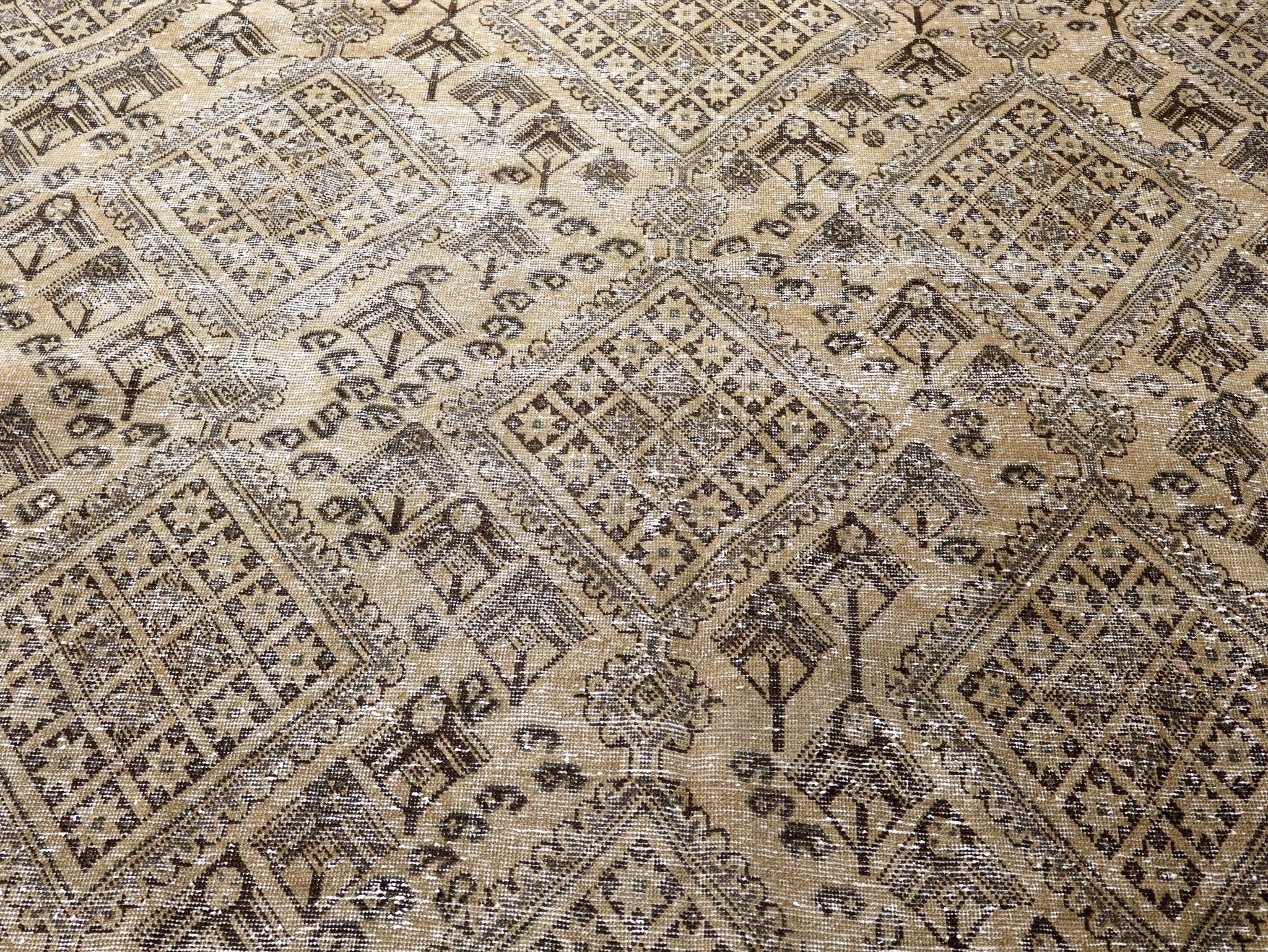 Persian Sirjan Rug | 6' 8” x 9' 11"
