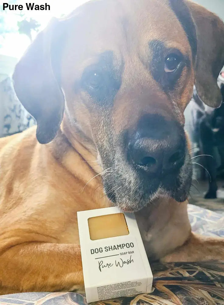 Pet Shampoo Bar