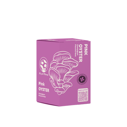 Pink Oyster Mushroom Kit
