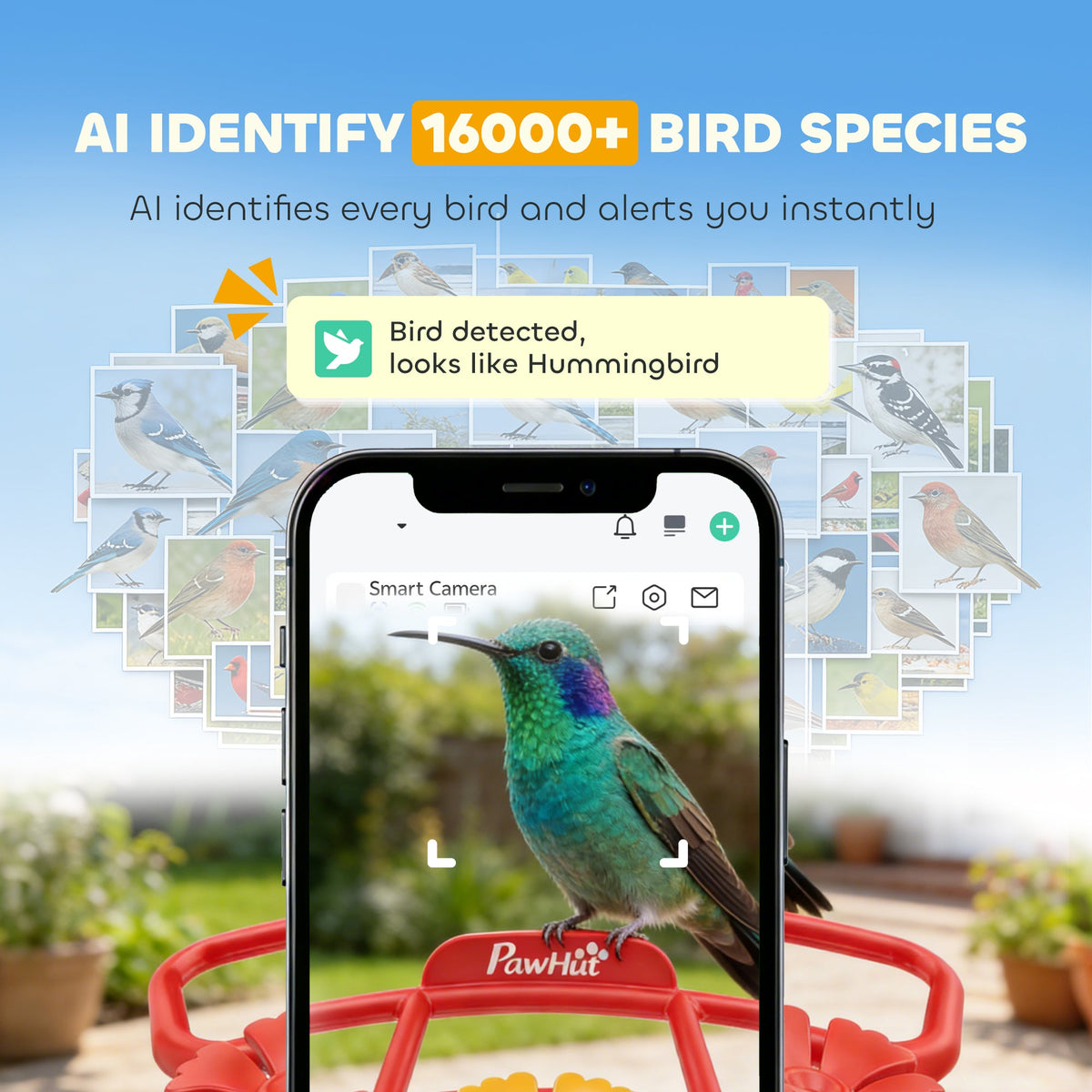 Smart Bird Feeder with Camera, AI Identify 16000 Birds, 2K HD Live Video, 3W Solar, Instant Arrival Alerts