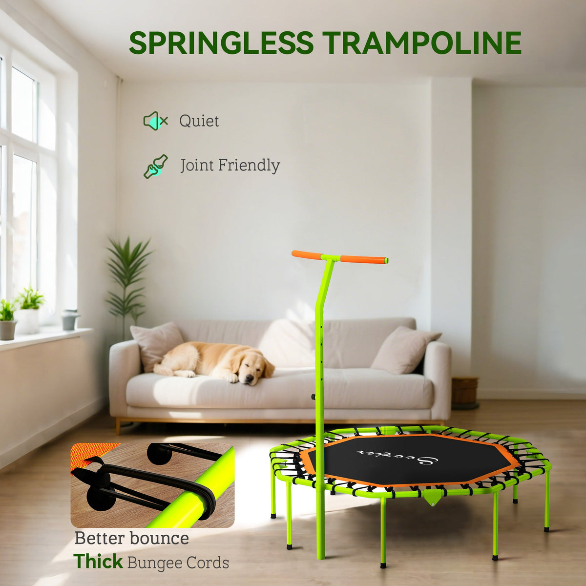 50" Foldable Mini Trampoline, Fitness Trampoline Rebounder with Bungee, Adjustable Handle Bar, Stable & Quiet