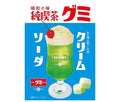 アイデアパッケージ 純喫茶グミ クリームソーダ 40g×10袋入【日本出荷】