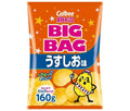 カルビー BIG BAG ポテトチップス うすしお味 160g×12袋入【日本出荷】