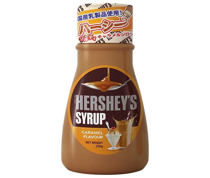 Lead Off Japan Hershey Caramel Syrup 230g x 24 pieces [Shipped in Japan]
