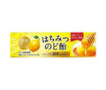 ロッテ はちみつカリンのど飴 11粒×10個入【日本出荷】