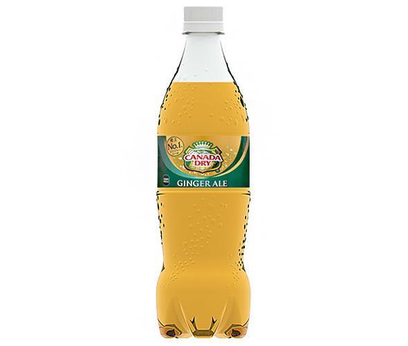 コカコーラ カナダドライ ジンジャーエール 700mlペットボトル×20本入【日本出荷】
