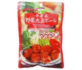 三育フーズ 中華風野菜大豆ボール 100g×15袋入【日本出荷】