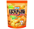 ぼんち ぼんち揚 チャック付 100g×12袋入【日本出荷】
