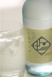 Ante(アンテ) 奥能登地サイダー しおサイダー 340ml瓶×24本入【日本出荷】