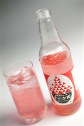 Ante(アンテ) 金沢砂丘サイダー すいか姫 340ml瓶×24本入【日本出荷】