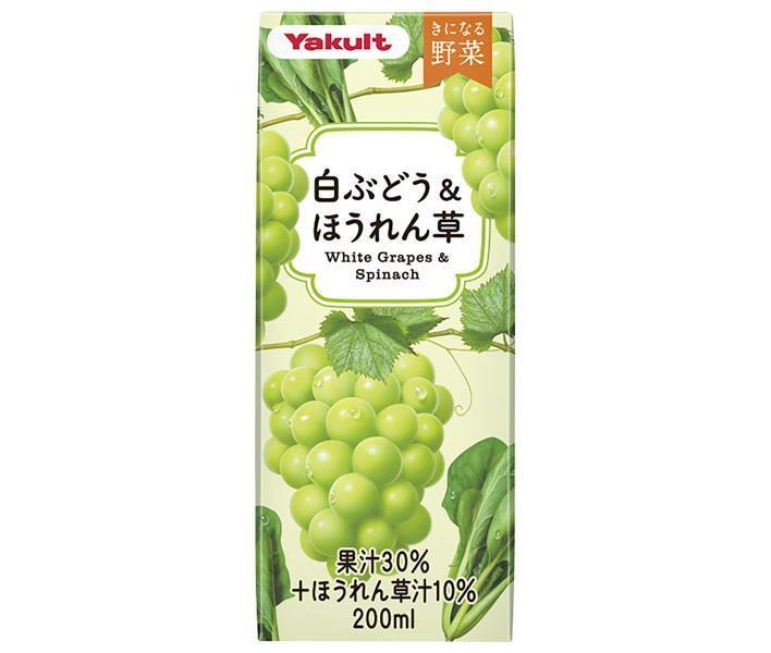 Yakult Kinaru Vegetables White Grape & Spinach 200ml paper pack x 24 bottles [shipped in Japan]