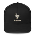 Brahma Trucker Cap