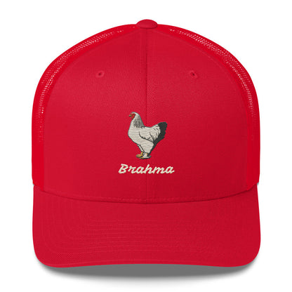 Brahma Trucker Cap