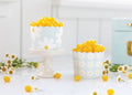 Spring Daisy Food Cups