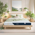 Tatana Premium Natural Latex Mattress