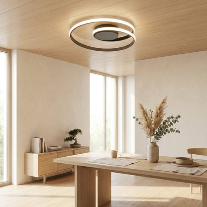 The Haag Spiral Ceiling Light