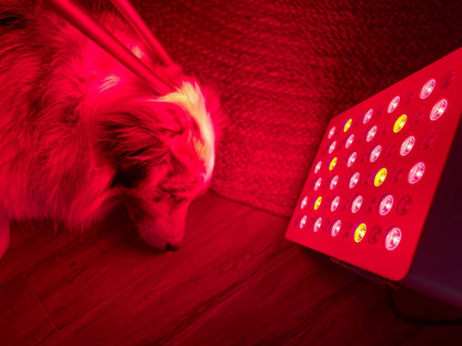 Kivo Vital 300: Portable Small Red Light Therapy Panel + Integrated Stand