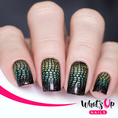 Whats Up - Zoology Trip Stamping Plate