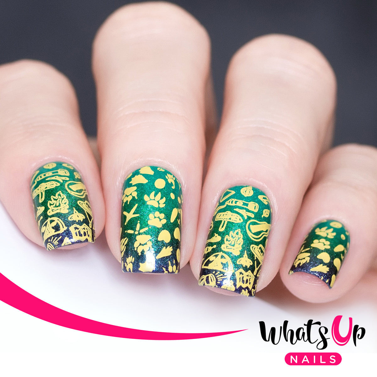 Whats Up - Campfire Stories Stamping Plate