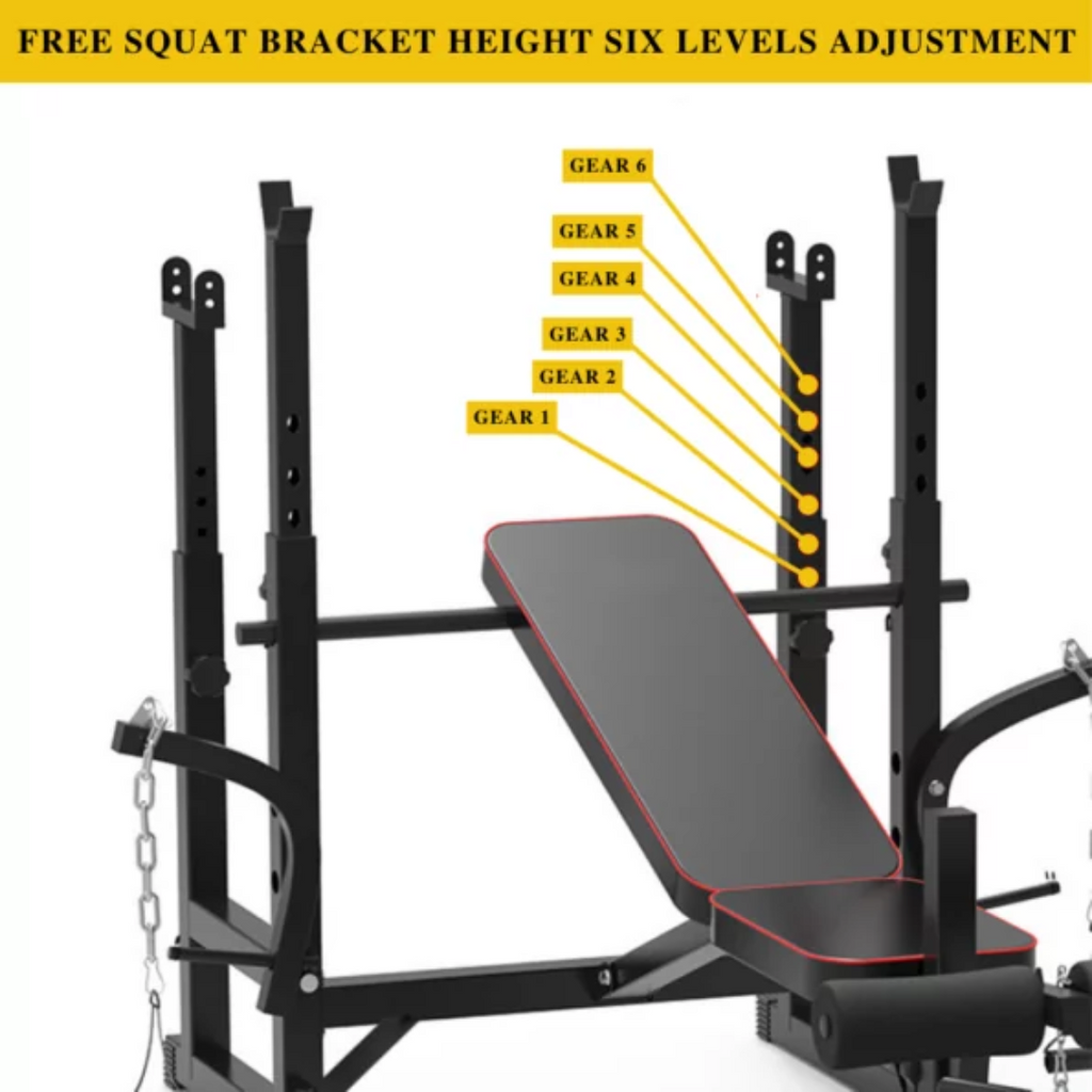 Adjustable Workout Bench with Weight Sets